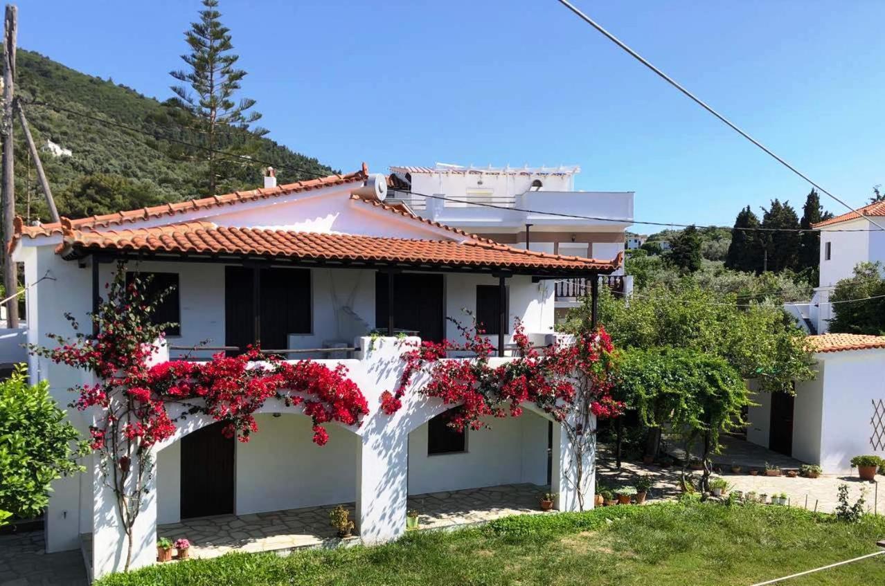 Studios Elpiniki Città di Skopelos Esterno foto